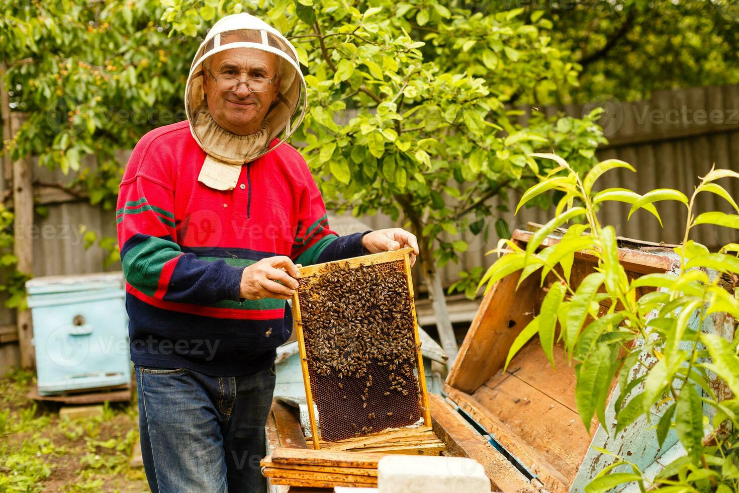 Beekeeper holding a frame of honeycomb photo