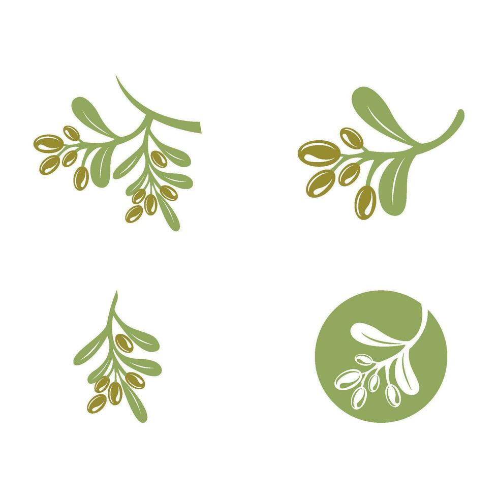 olive icon vector illustration