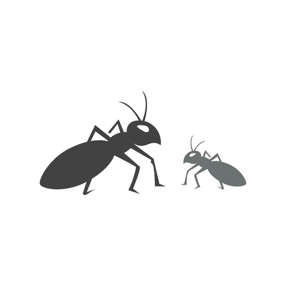 Ant vector illustration design