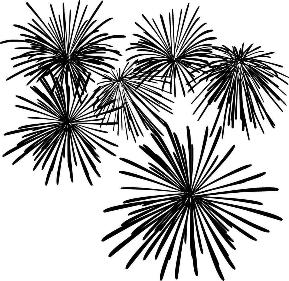 Fireworks Silhouette Vector on white background