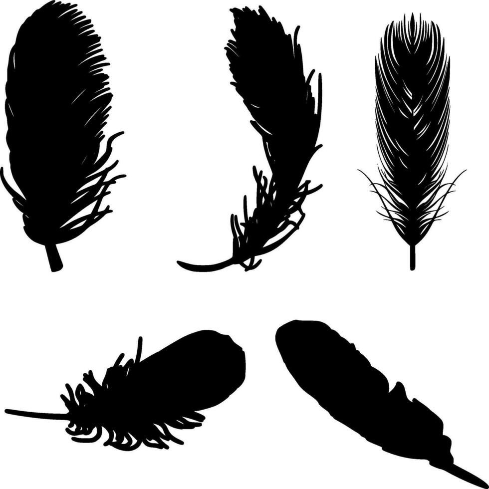Feathers Silhouette Vector on white background