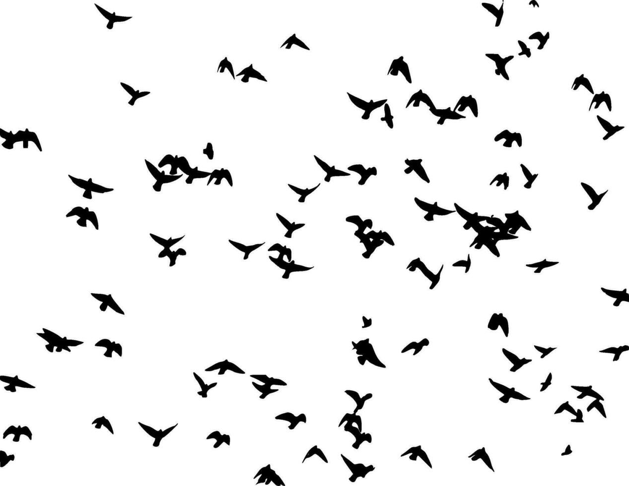 Birds of Freedom Silhouette Vector on white background