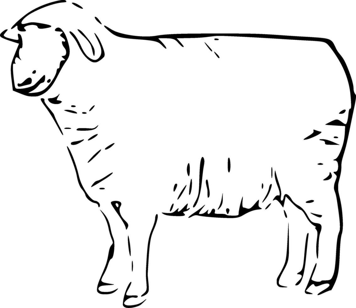 Sheep Silhouette Vector on white background