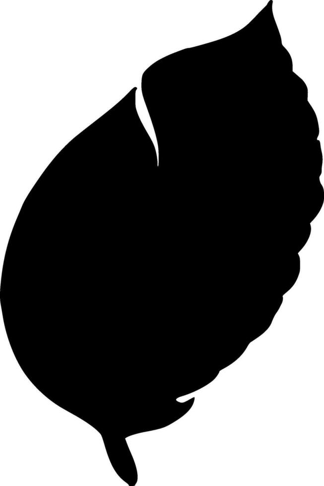 Feathers Silhouette Vector on white background