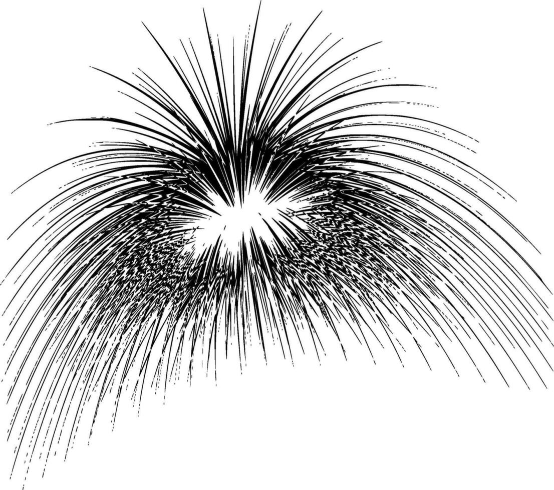 Fireworks Silhouette Vector on white background