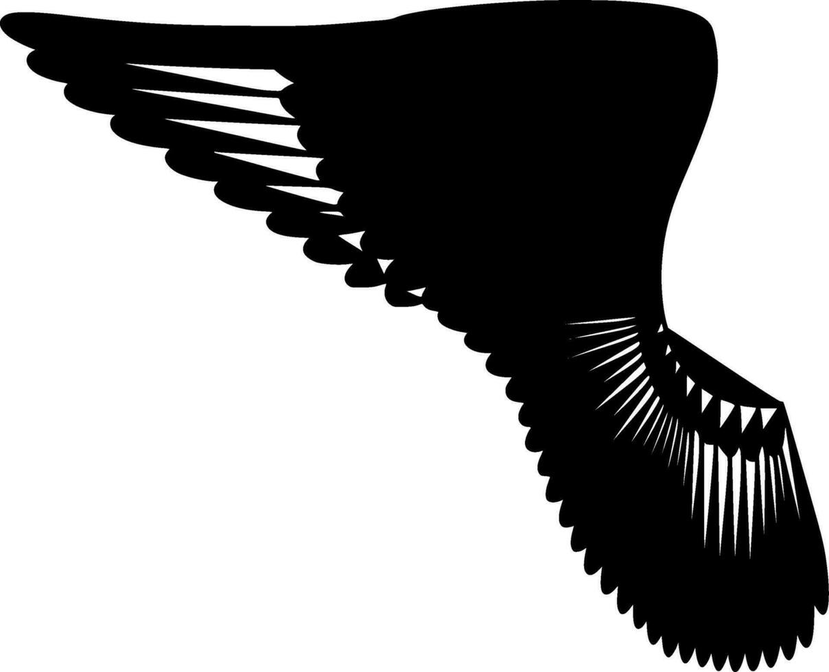 Feathers Silhouette Vector on white background