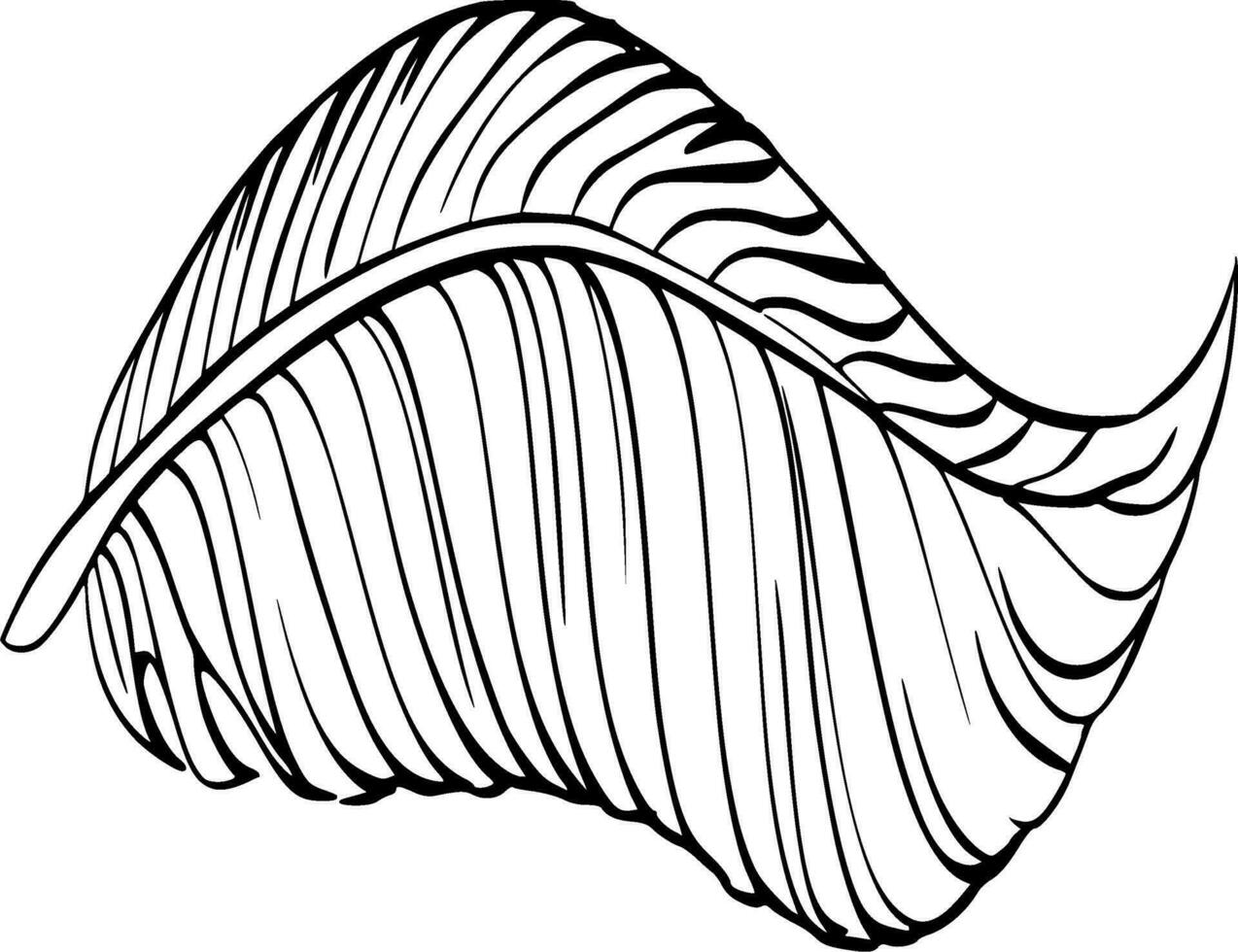 Feathers Silhouette Vector on white background