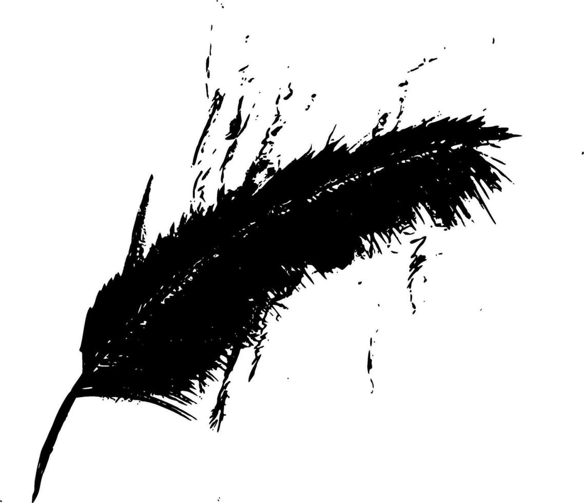 Feathers Silhouette Vector on white background