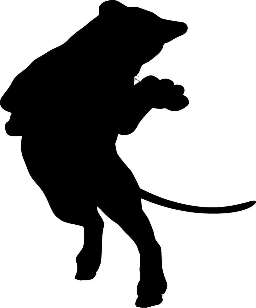 Panther Silhouette Vector on white background