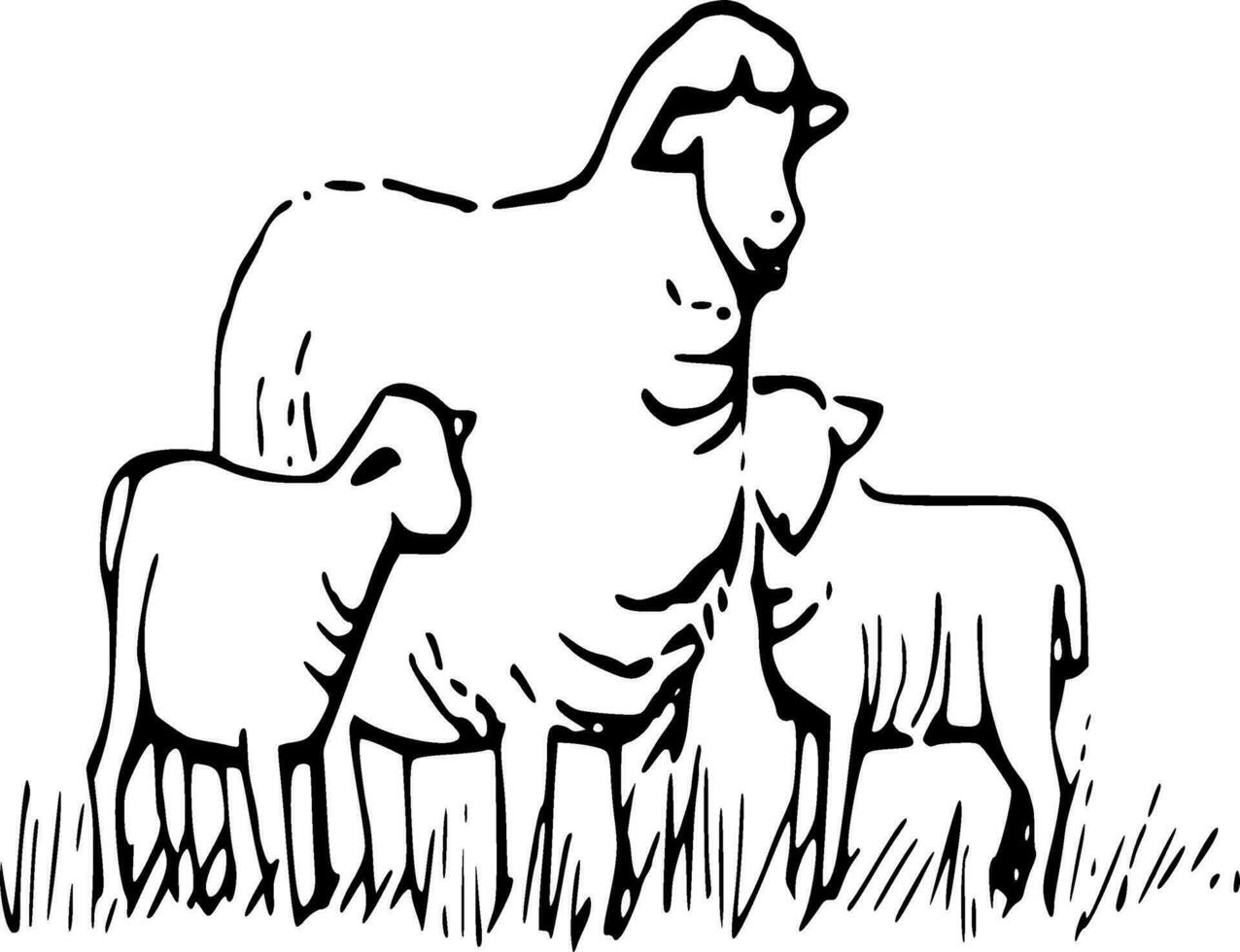 Sheep Silhouette Vector on white background