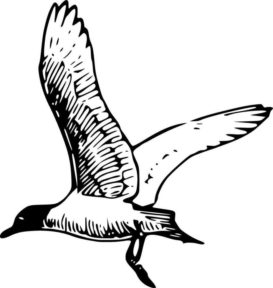 vector de silueta de pájaro sobre fondo blanco