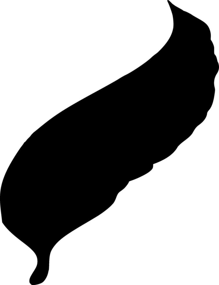 Feathers Silhouette Vector on white background
