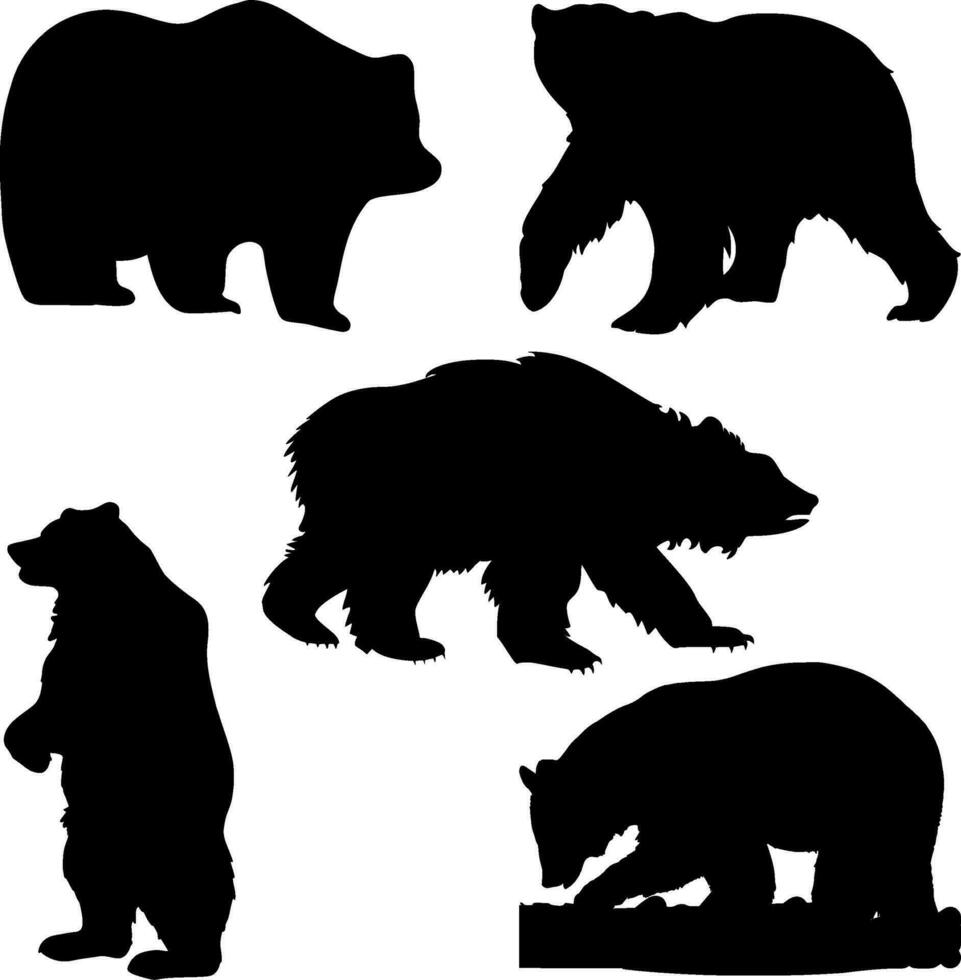 oso silueta vector en blanco antecedentes