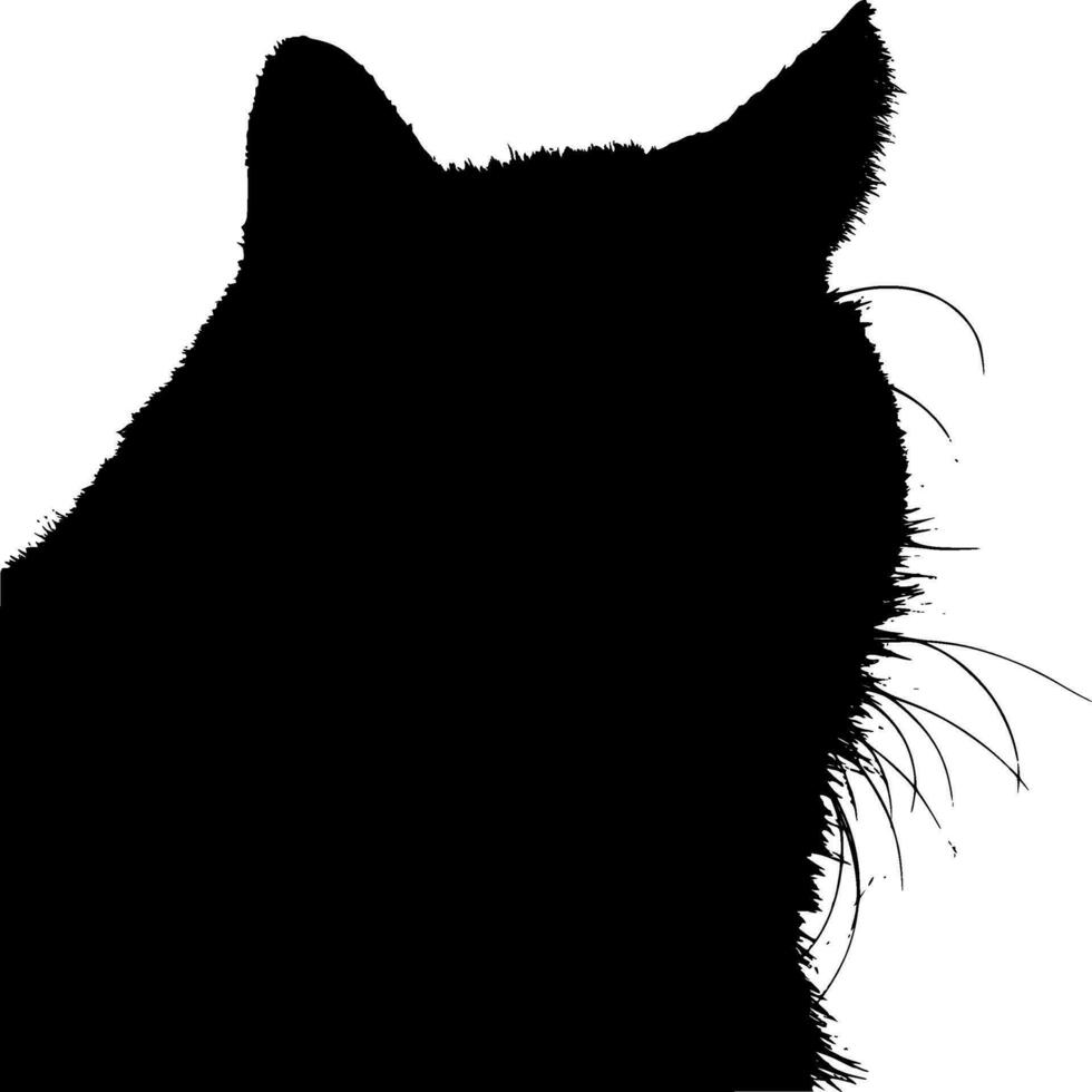 gato silueta vector en blanco antecedentes