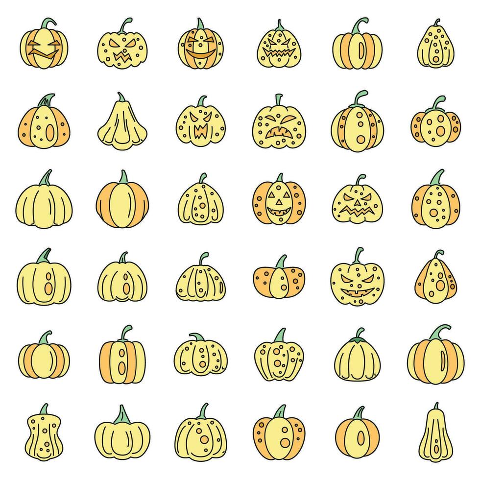 Garden pumpkin icons set vector color