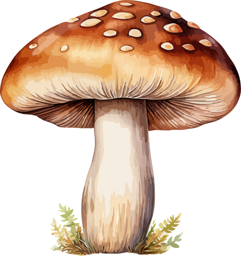 AI generated Mushroom clipart design illustration png