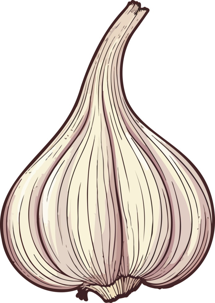 AI generated garlic clipart design illustration png