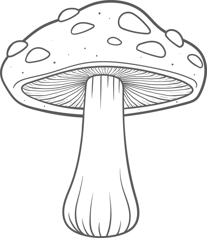 AI generated Mushroom clipart design illustration png