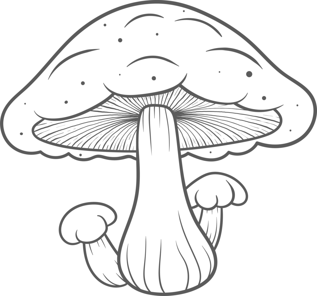 AI generated Mushroom clipart design illustration png