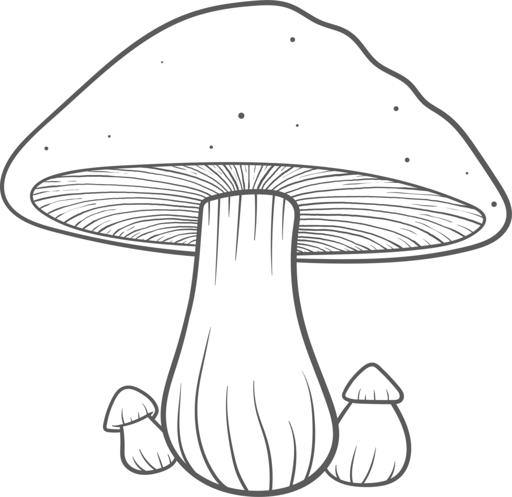 AI generated Mushroom clipart design illustration png