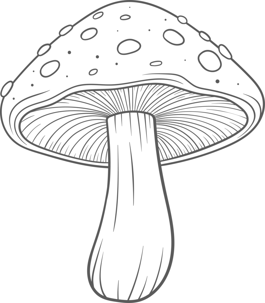 AI generated Mushroom clipart design illustration png