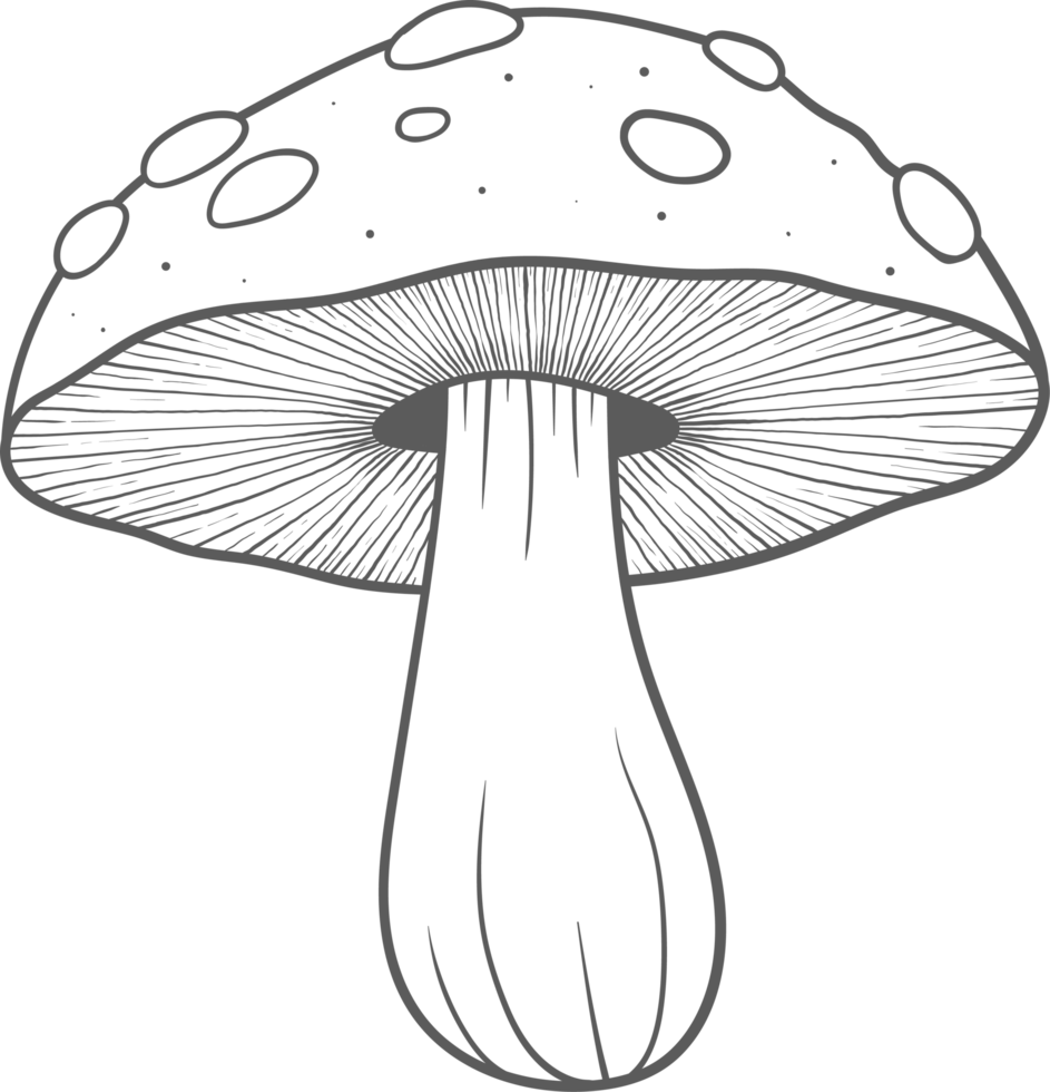 AI generated Mushroom clipart design illustration png