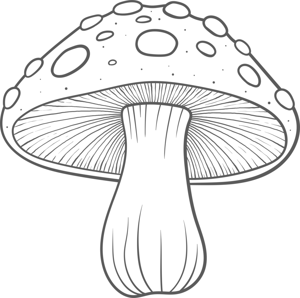 AI generated Mushroom clipart design illustration png