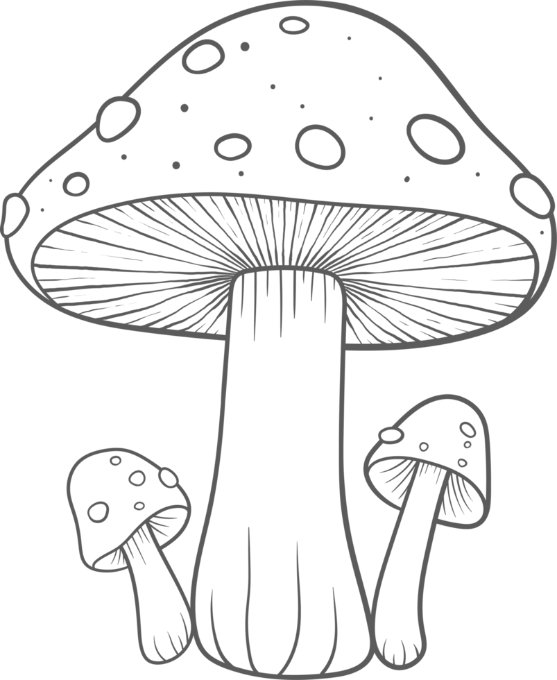 AI generated Mushroom clipart design illustration png