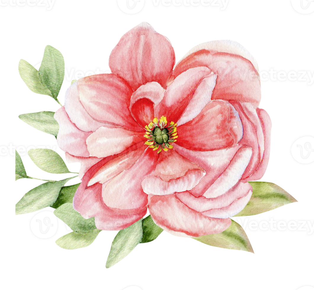 Watercolor pink peony bouquet. Hand drawn summer flowers with green leaves for invitation, wedding, label, logo, card design. Clip art for concept design png