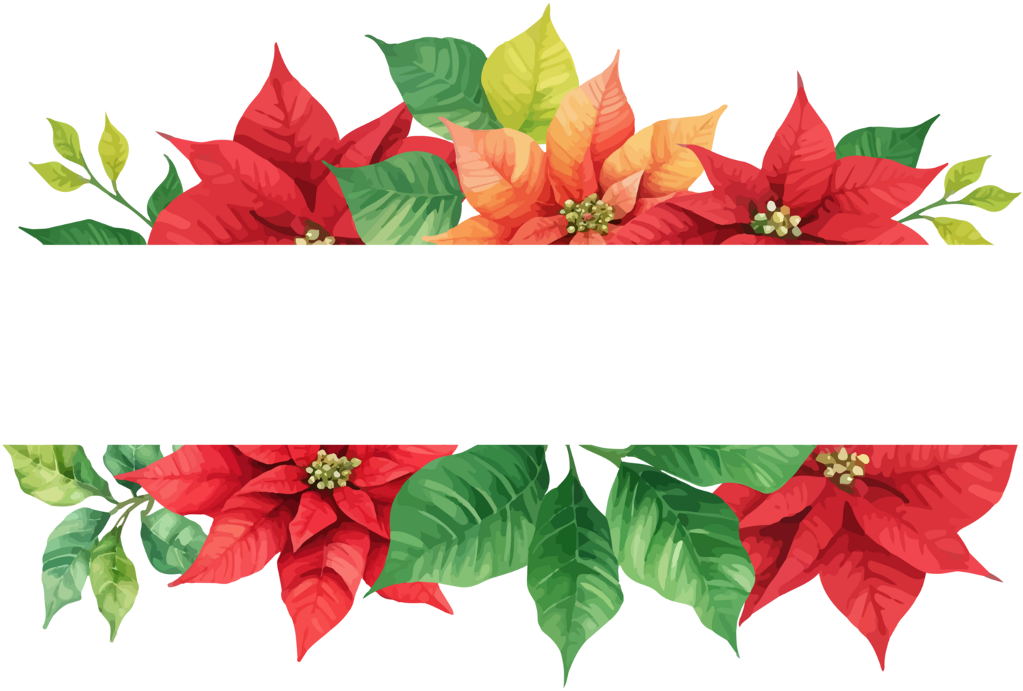 Watercolor christmas poinsettia flower frame png