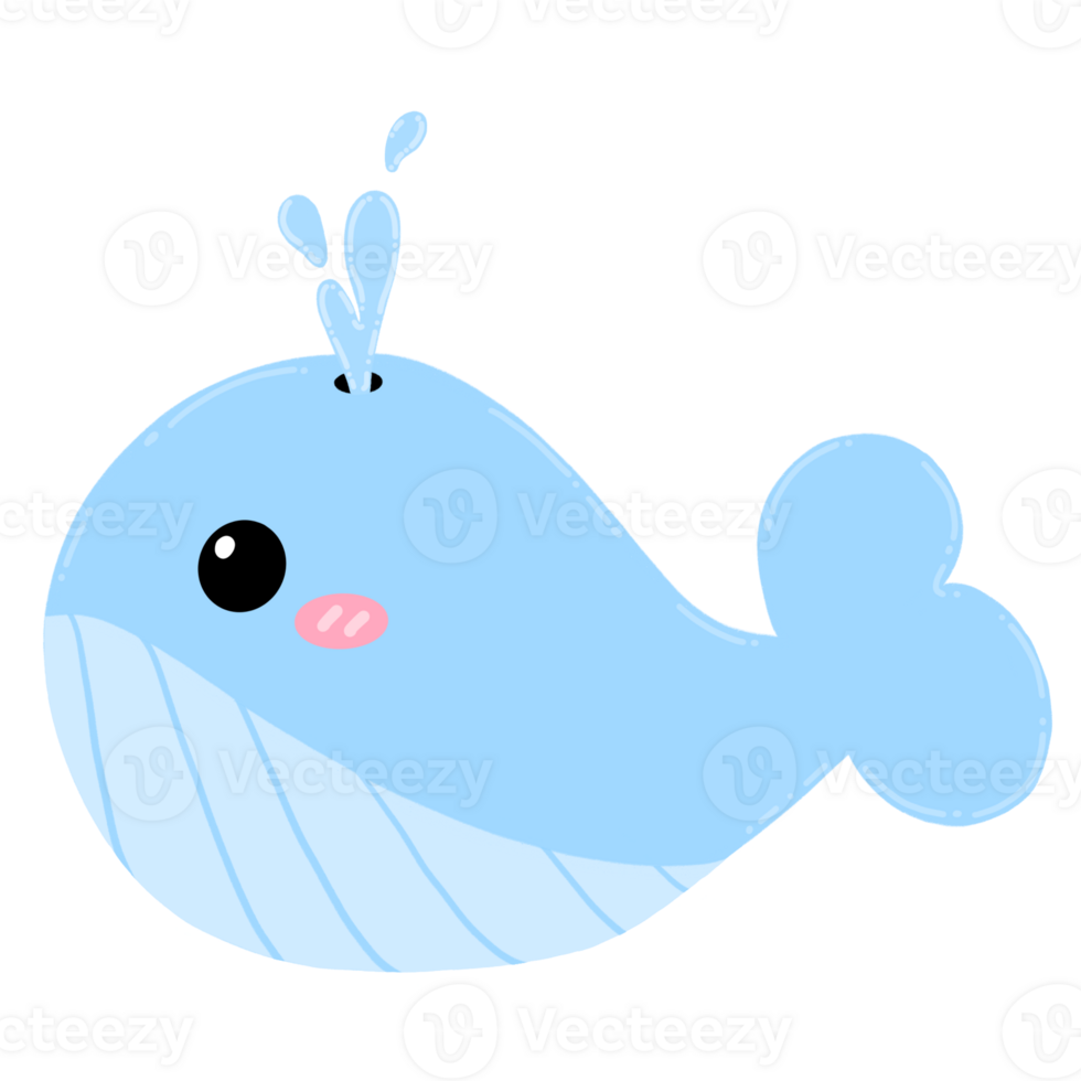 Cute Whale Cartoon illustration png