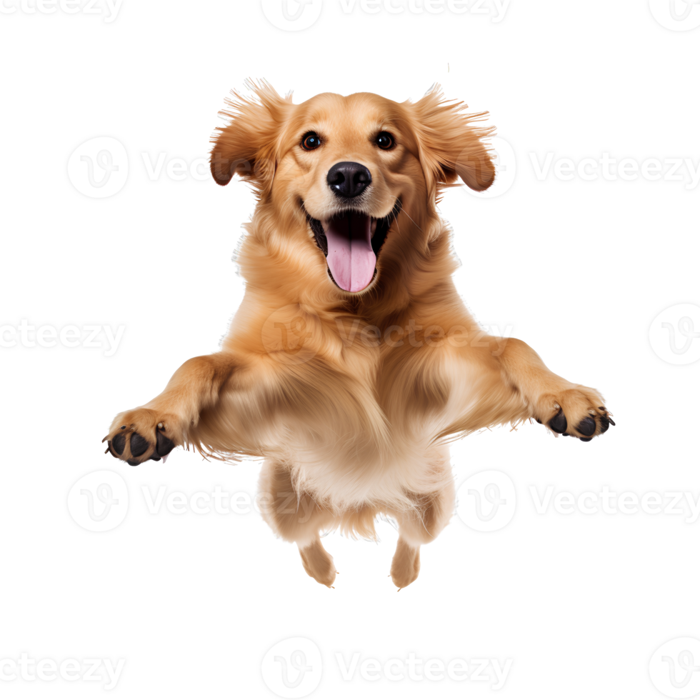 AI generated Cute and fun dogs on transparent background PNG