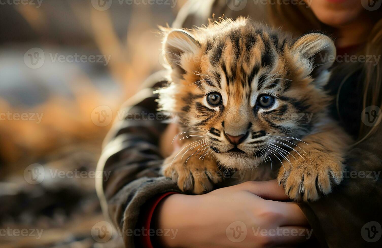 AI generated Woman holding a lion kitten photo