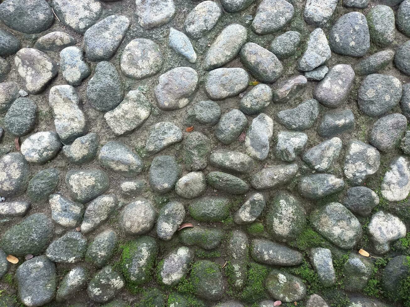 Old stone wall with green moss. Stone siding texture. Rounded stone decoration. photo