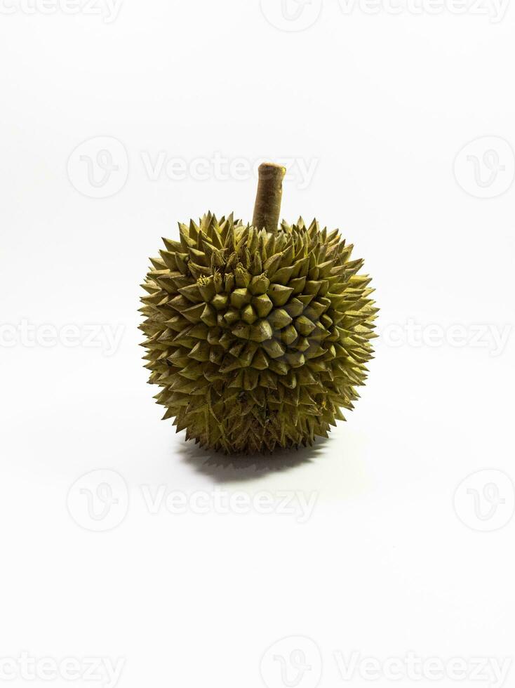 Durian fruit native to Indonesia is sharp but sweet without being cut photo