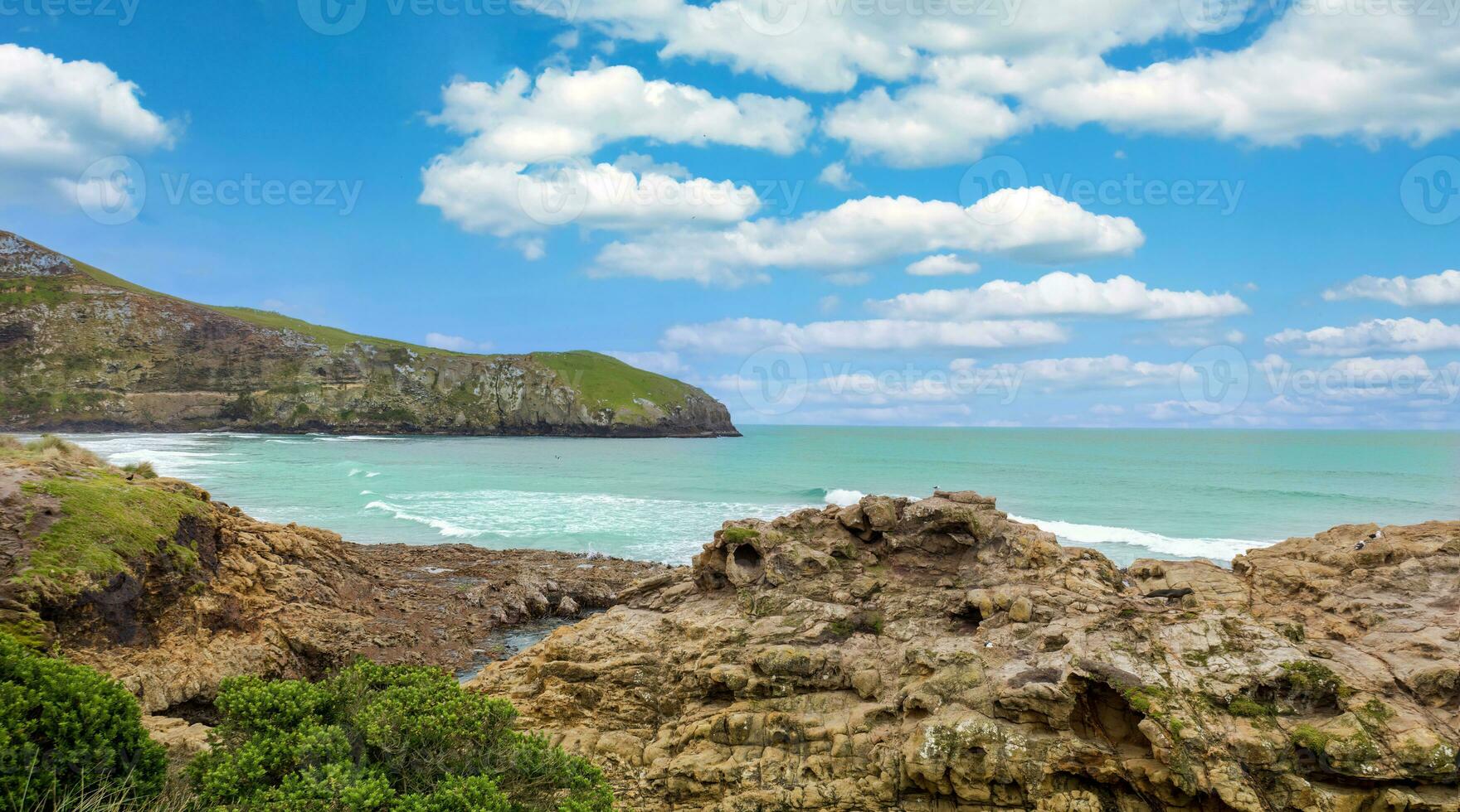 Scenic scenery of Port Chalmers, Dunedin New Zealand, a wildlife tour to watch seals and penguins photo