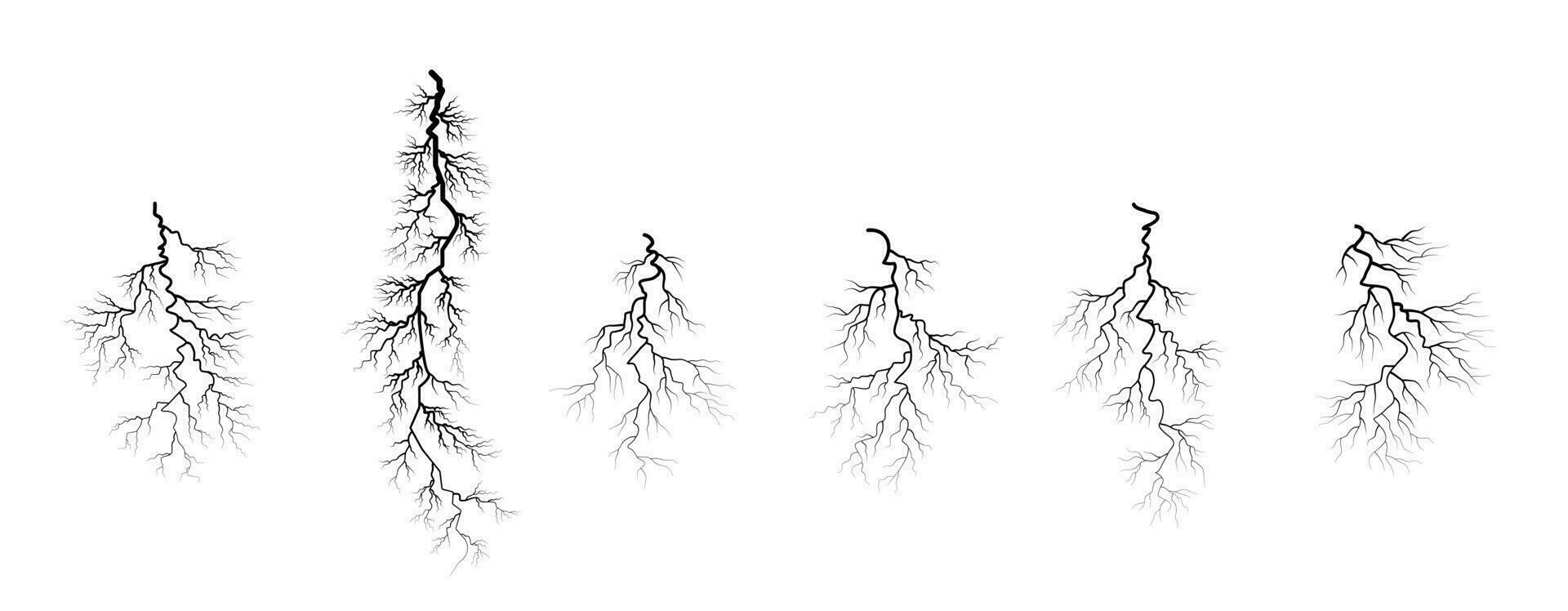 set of different roots, plant root system vector