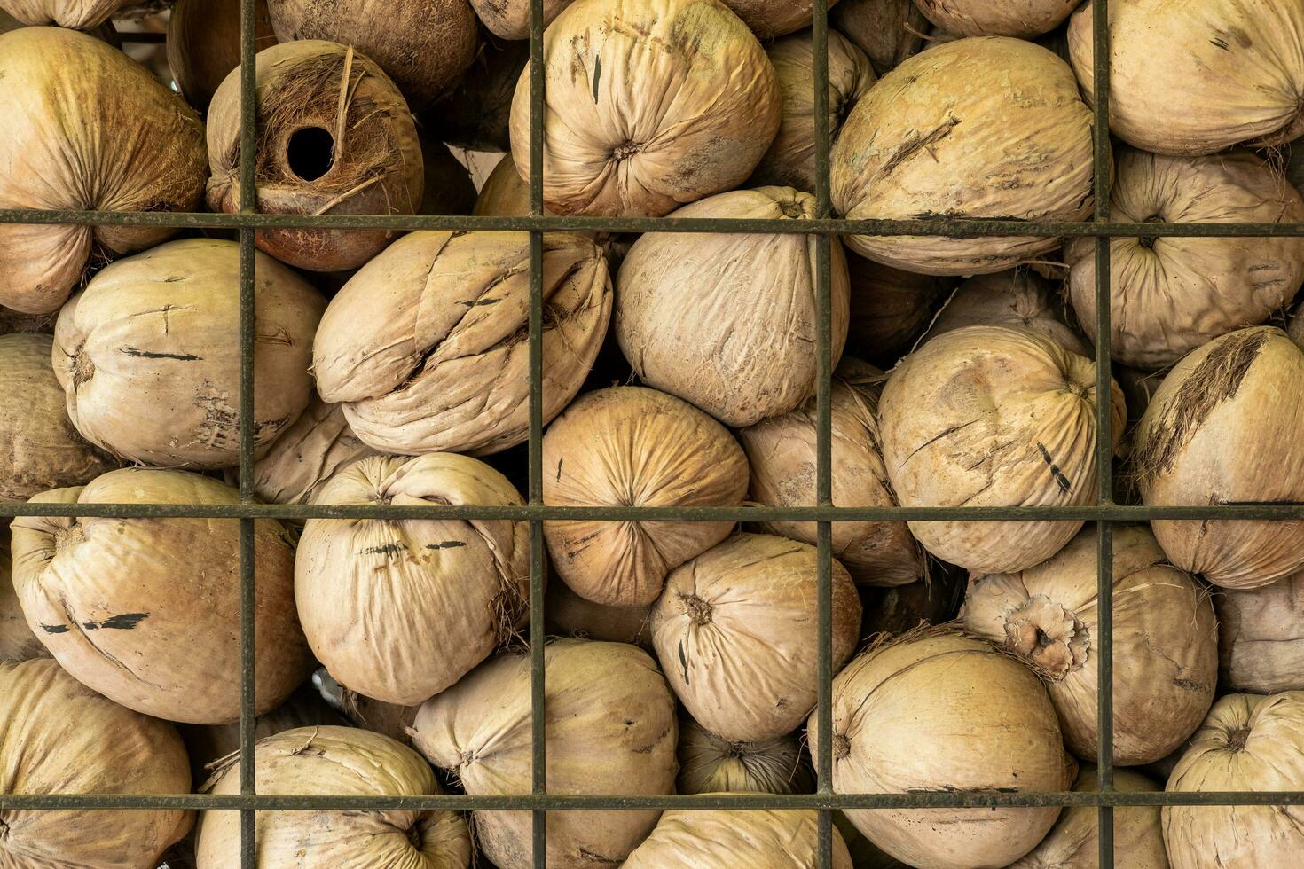 The partition wall is made from brown coconut shells. photo