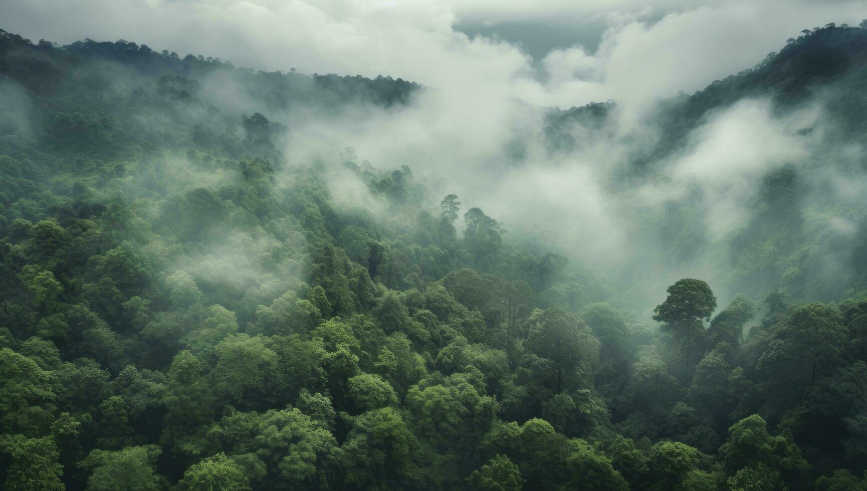 AI generated Beautiful scenery of green tree forest enveloped in fog photo