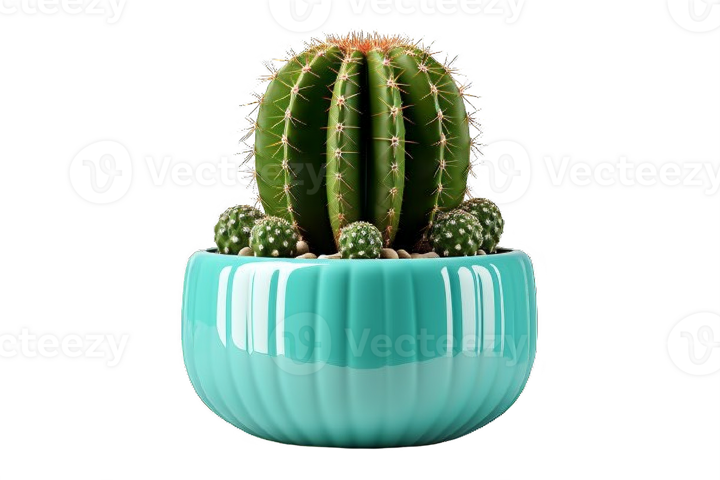 AI generated Cactus Arrangement in Glossy Turquoise Pot Isolated on transparent Background png