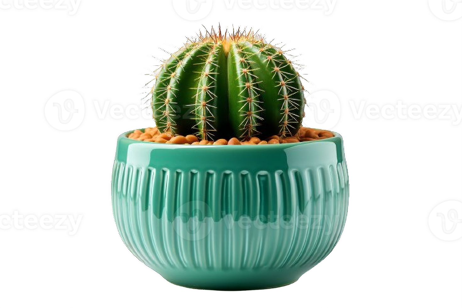 AI generated Cactus Arrangement in Glossy Turquoise Pot Isolated on transparent Background png