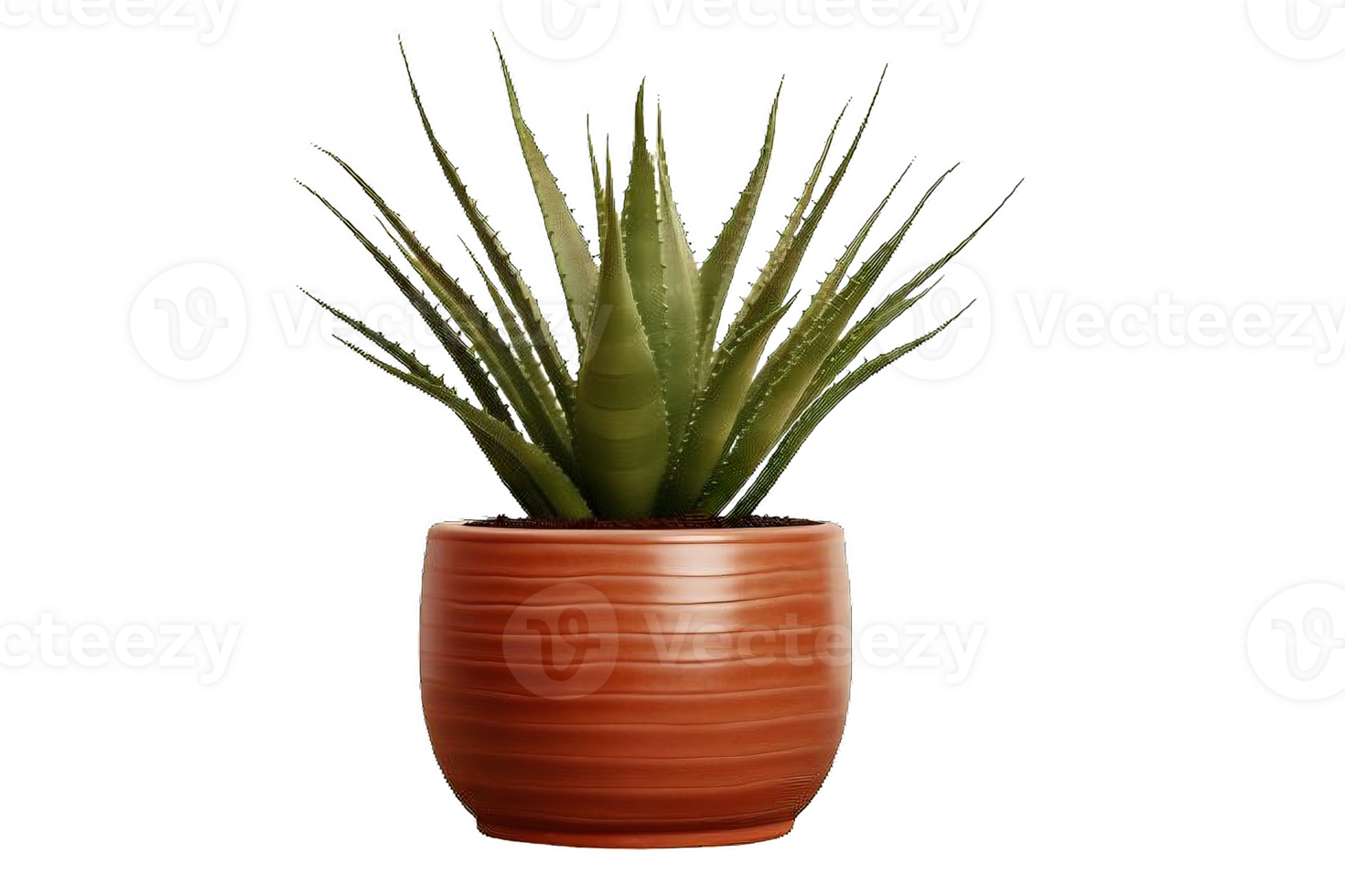 AI generated Aloe Vera Plant in  Pot Isolated on transparent Background png