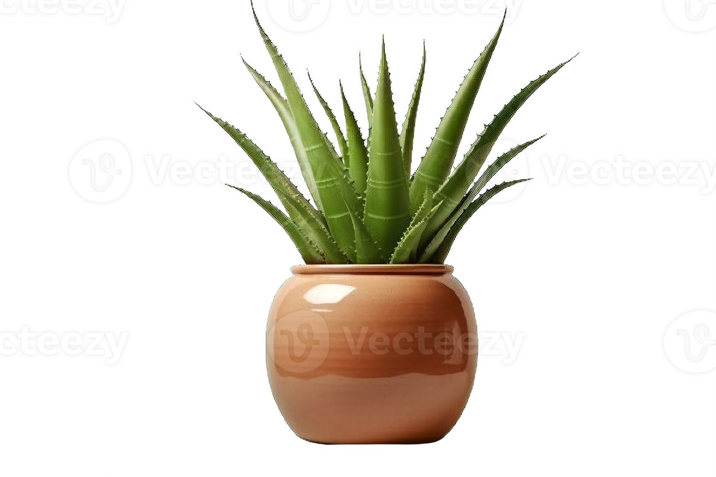 AI generated Aloe Vera Plant in  Pot Isolated on transparent Background png
