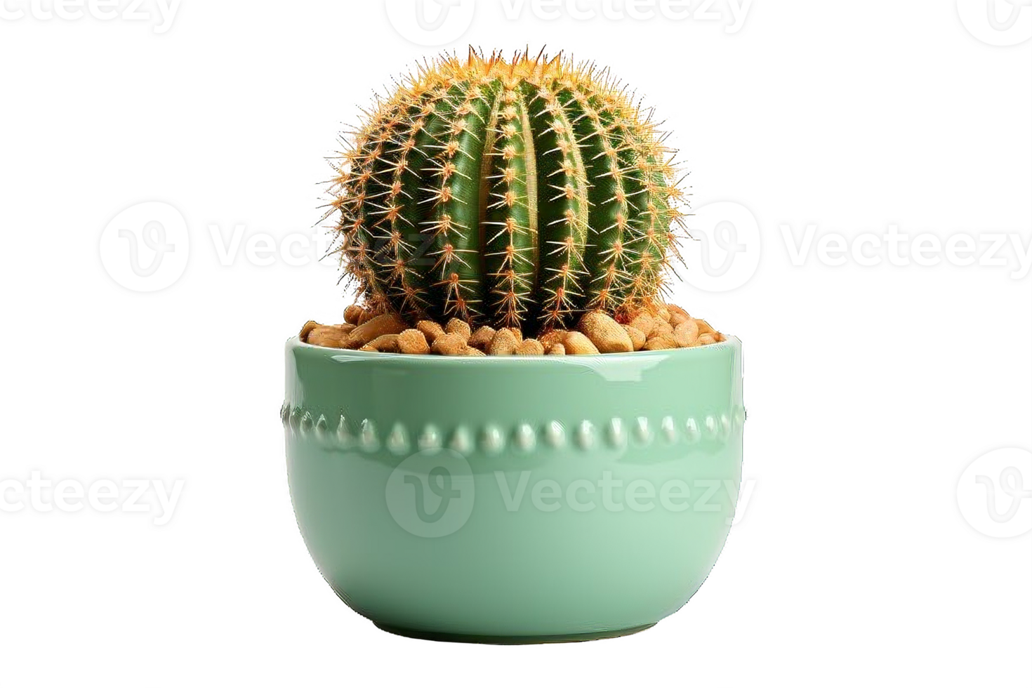 AI generated Cactus Arrangement in Glossy Turquoise Pot Isolated on transparent Background png