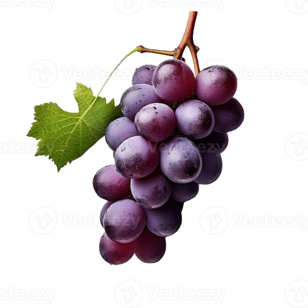 AI generated Ripe Bunch of Purple Grapes with Dew Drops Isolated on transparent background png