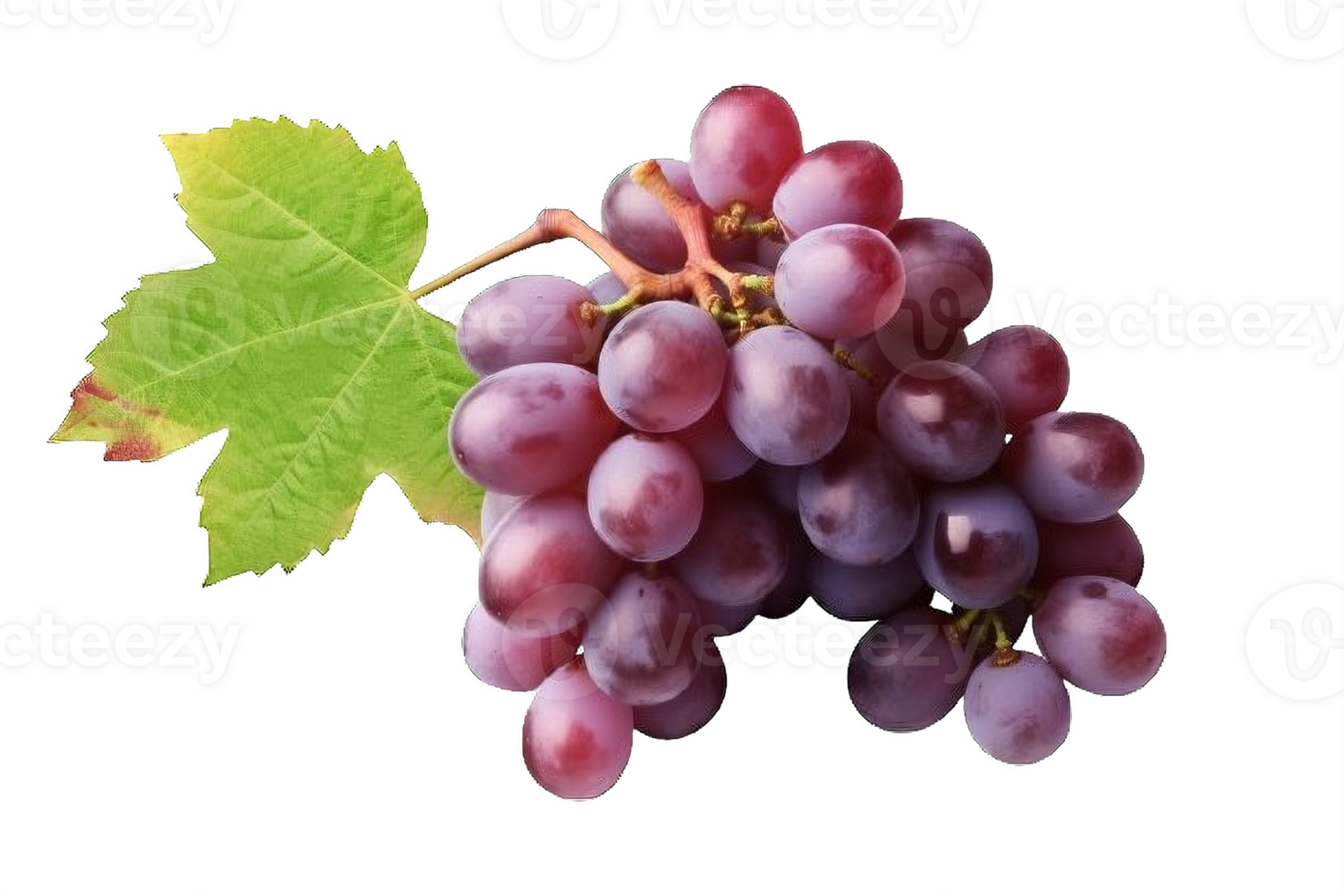 AI generated Ripe Bunch of Purple Grapes with Dew Drops Isolated on transparent background png