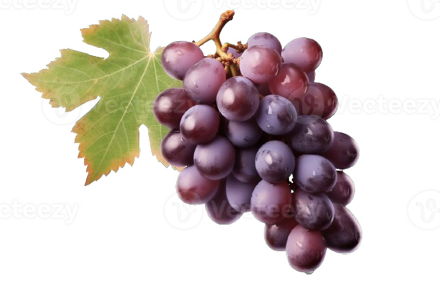 AI generated Ripe Bunch of Purple Grapes with Dew Drops Isolated on transparent background png