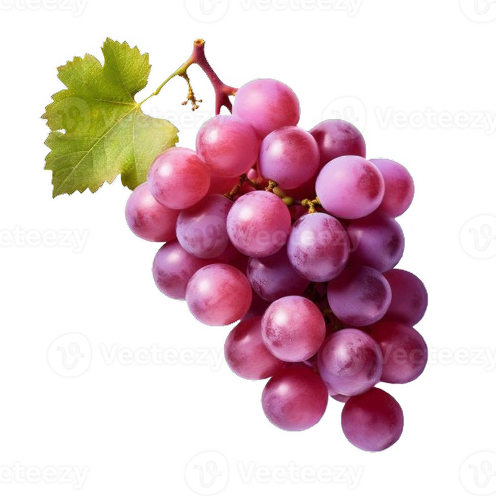 AI generated Ripe Bunch of Purple Grapes with Dew Drops Isolated on transparent background png
