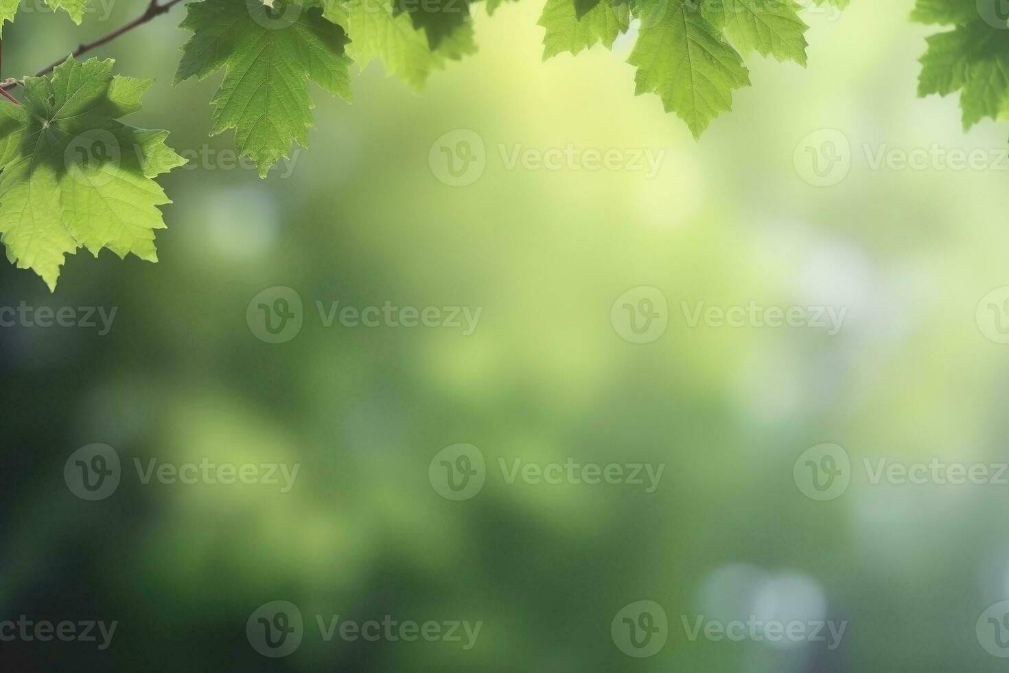 AI generated Branch with green leaves in sunlight, bokeh effect. Summer background. Ai generated photo