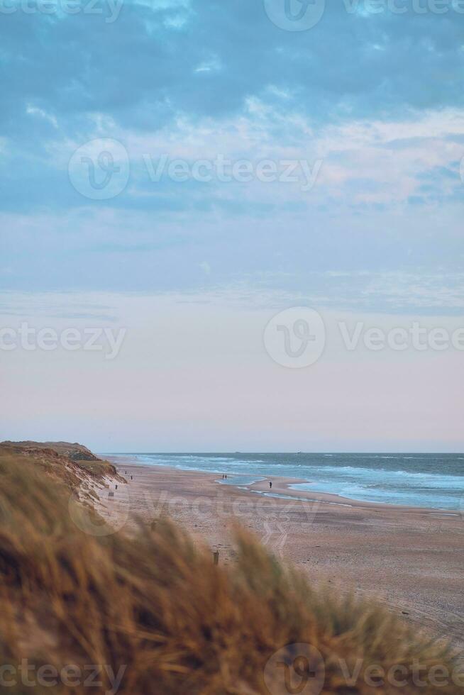 sandy beach at the danish north sea coast photo